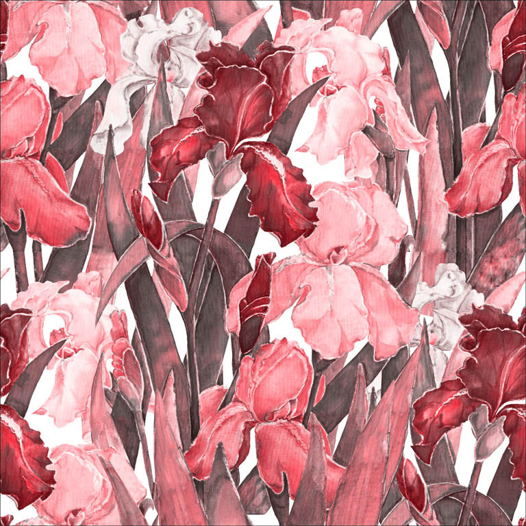 DKSN055