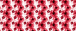DKDS070
