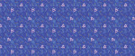 DKDS080