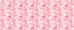DKDS125